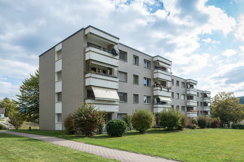 Moderne Wohnung in ruhigem Quartier (1)