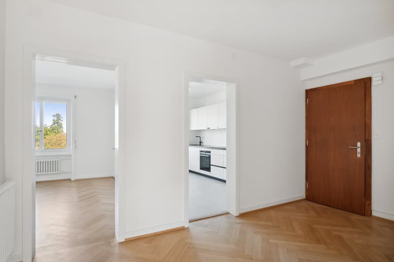 Superbe appartement rénové à la Servette (2)
