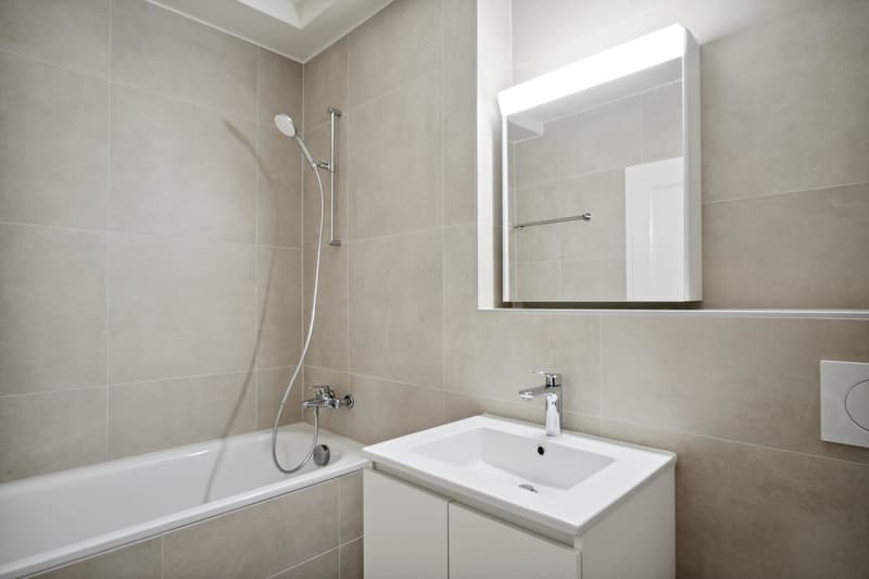 Superbe appartement rénové à la Servette (8)