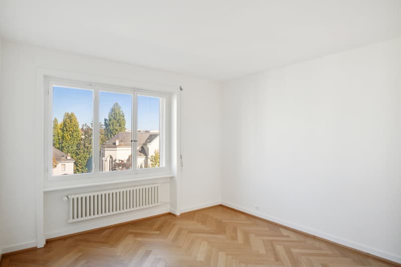 Superbe appartement rénové à la Servette (5)
