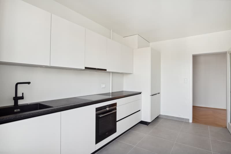 Superbe appartement rénové à la Servette (3)