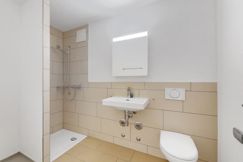 Modern Living - Altstetten (4)