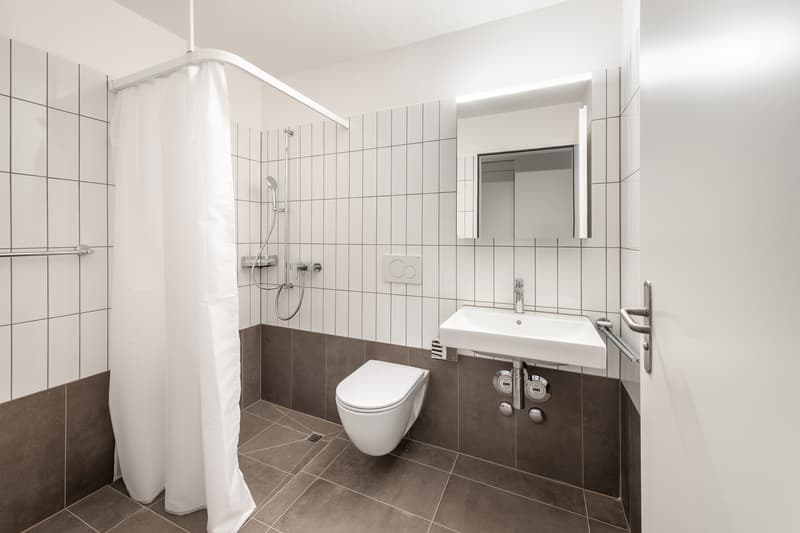 Zwischen Reussufer und Stadtleben- sanierte 5.5-Zimmer-Wohnung. (4)