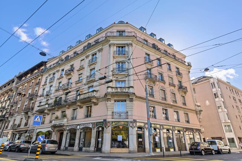 Appartement au coeur de Genève (1)