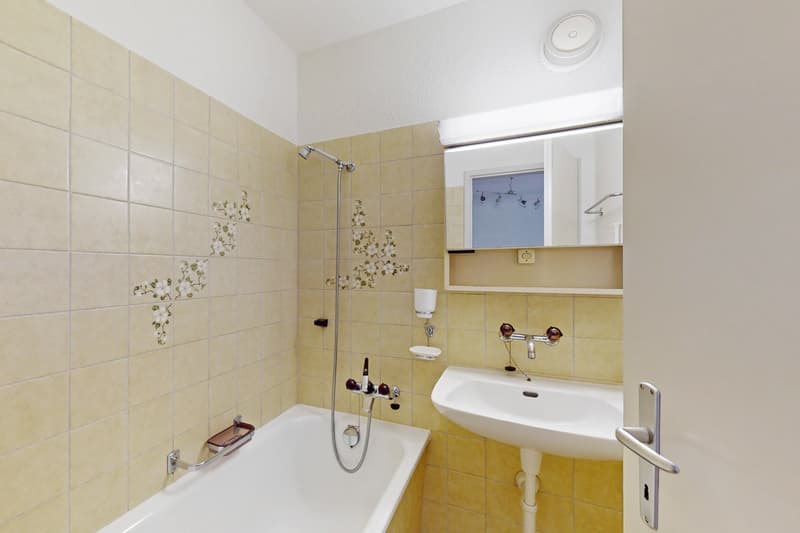 Ihr neues Zuhause mit einzigartiger Aussicht in Reussbühl (9)