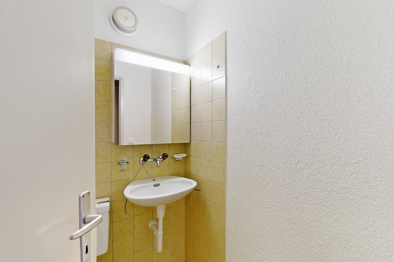 Ihr neues Zuhause mit einzigartiger Aussicht in Reussbühl (10)