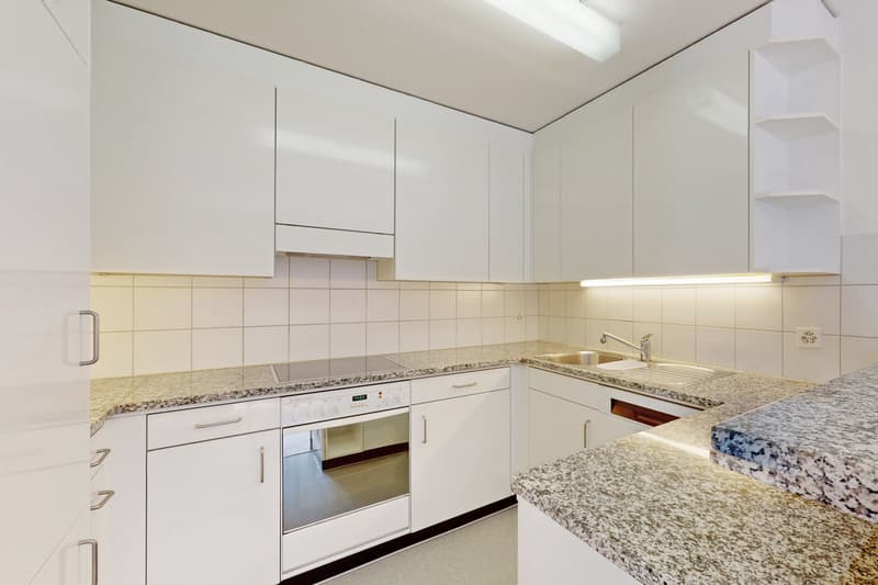 Ihr neues Zuhause mit einzigartiger Aussicht in Reussbühl (2)