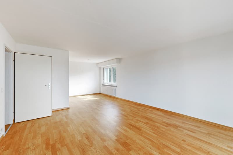 Ihr neues Zuhause mit einzigartiger Aussicht in Reussbühl (5)