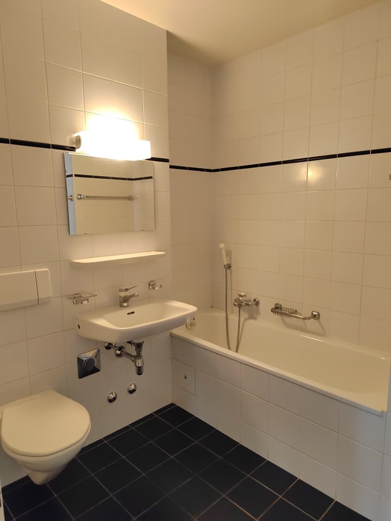 Bel appartement à Plainpalais ! (3)