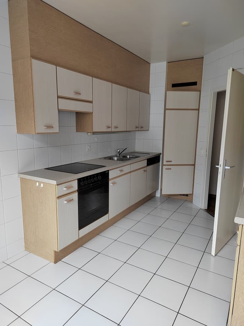Bel appartement à Plainpalais ! (2)