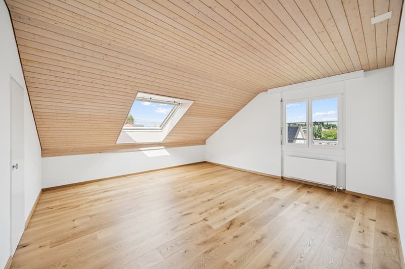 Erstvermietung nach Sanierung - attraktive Dachwohnung (8)
