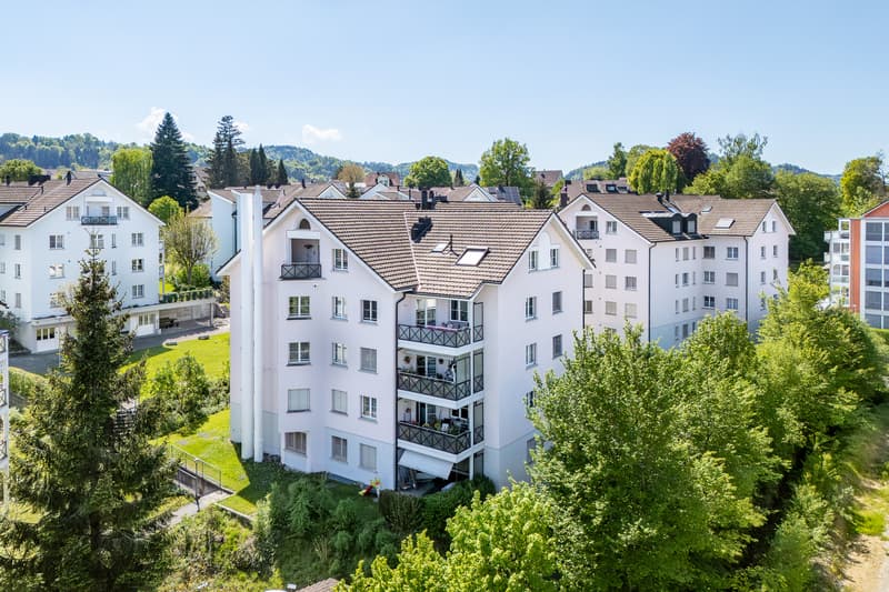 Erstvermietung nach Sanierung - attraktive Dachwohnung (1)