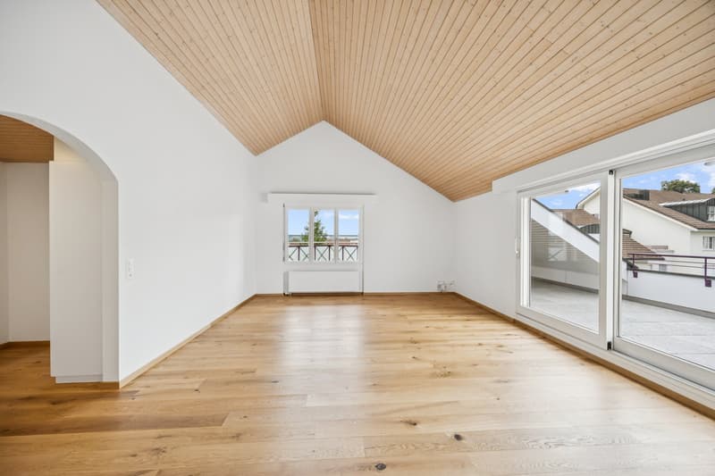 Erstvermietung nach Sanierung - attraktive Dachwohnung (6)