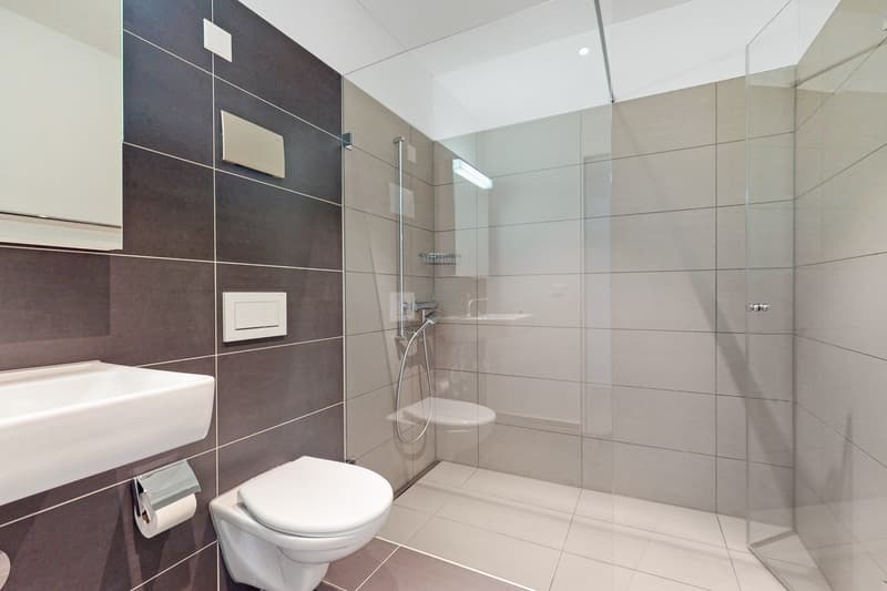Ihr neues Zuhause? (8)