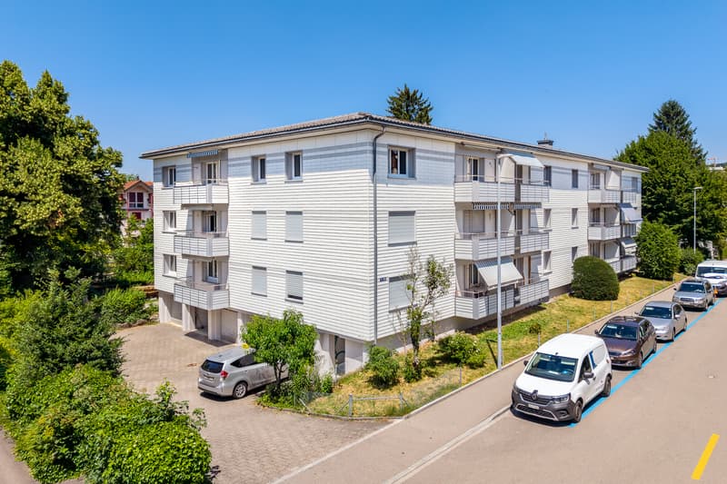 Frisch sanierte Wohlfühloase im Herzen von Adliswil (2)
