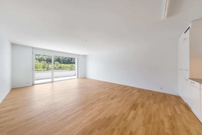 Tolle Attikawohnung sucht Sie! (4)