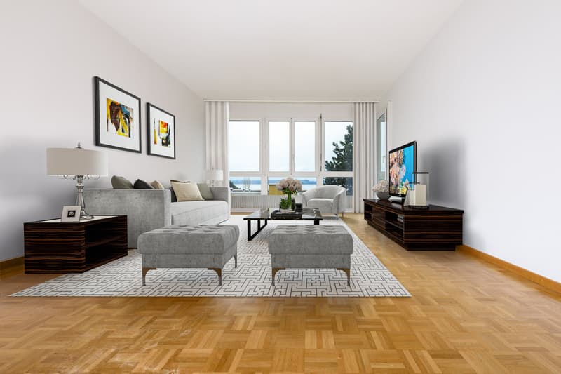 Vue exceptionnelle sur le lac (1)