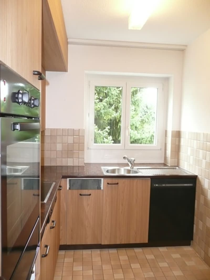Helle und sonnige Wohnung an begrünter Lage (3)