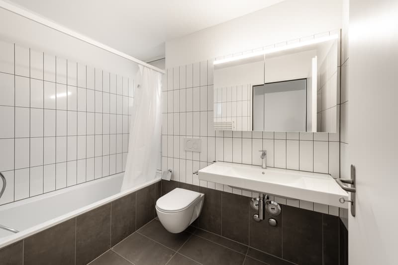 Zwischen Reussufer und Stadtleben- sanierte 5.5-Zimmer-Wohnung. (12)