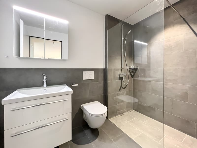 Ihr neues Zuhause - tolle Sitzplatzwohnung (3)