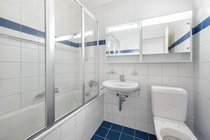 Ihr neues Zuhause an erhöhter Wohnlage in Richterswil! (7)