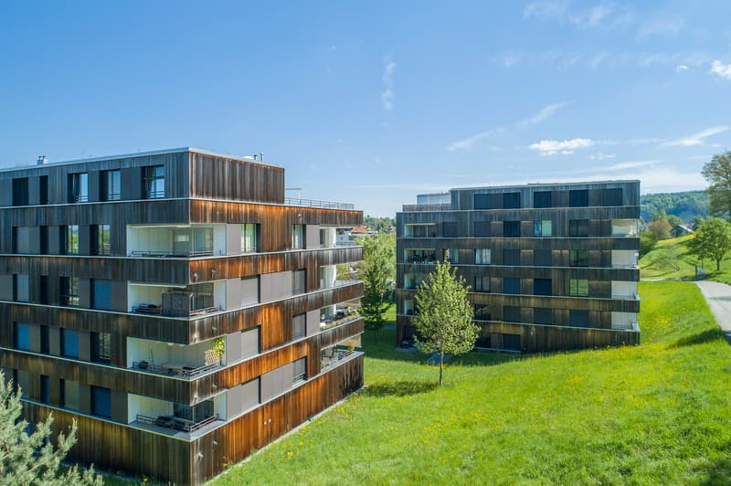Wohnen mit Aussicht ins Grüne (2)