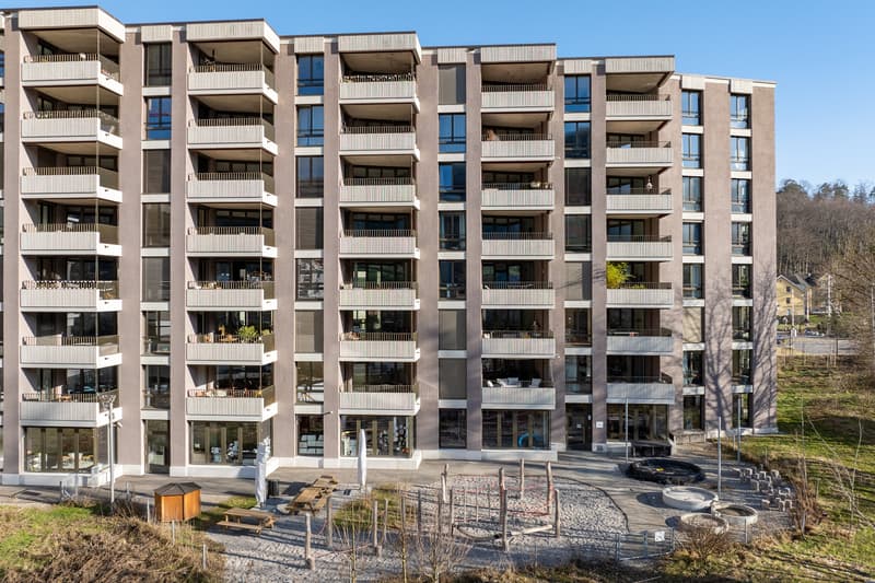 Moderne Wohnung am Stadtrand von Zürich (1)