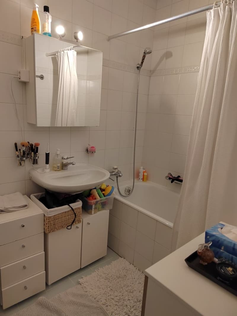Magnifique appartement à deux pas de l'Arve ! (7)