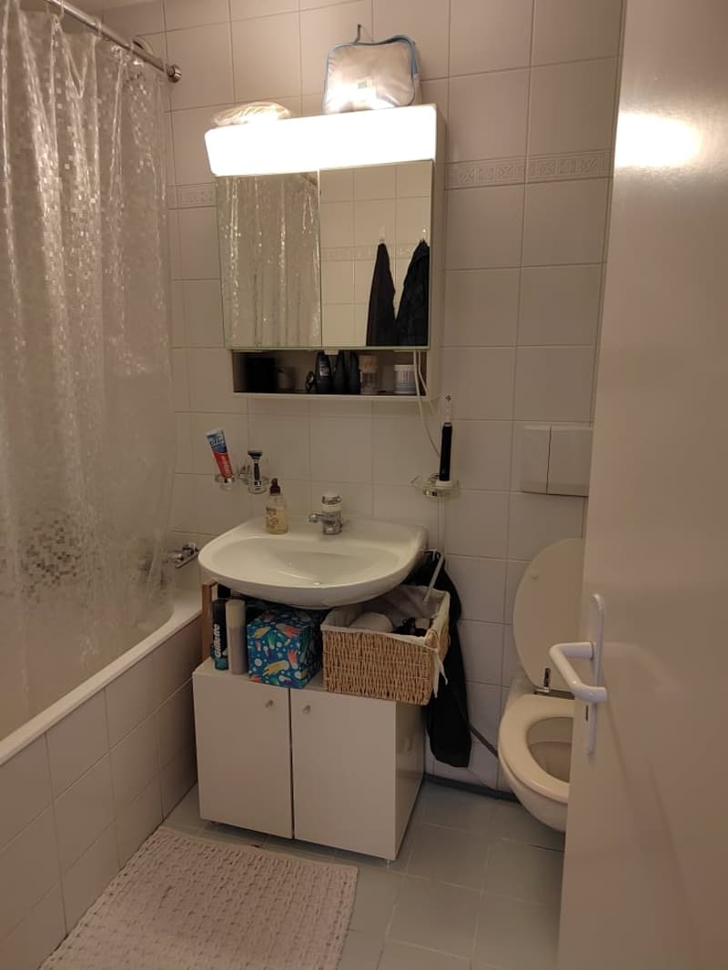 Magnifique appartement à deux pas de l'Arve ! (8)