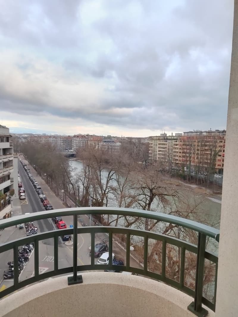 Magnifique appartement à deux pas de l'Arve ! (9)