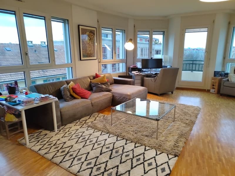 Magnifique appartement à deux pas de l'Arve ! (2)