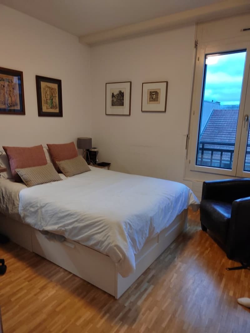 Magnifique appartement à deux pas de l'Arve ! (6)