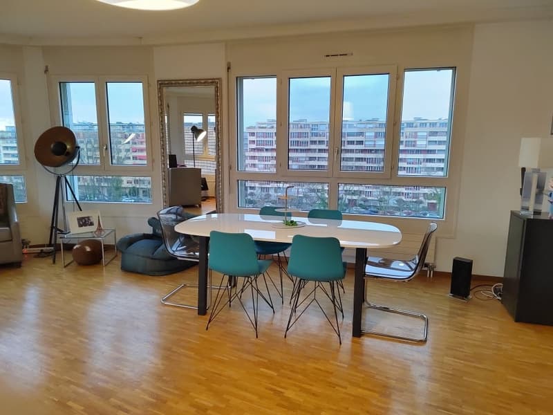 Magnifique appartement à deux pas de l'Arve ! (3)