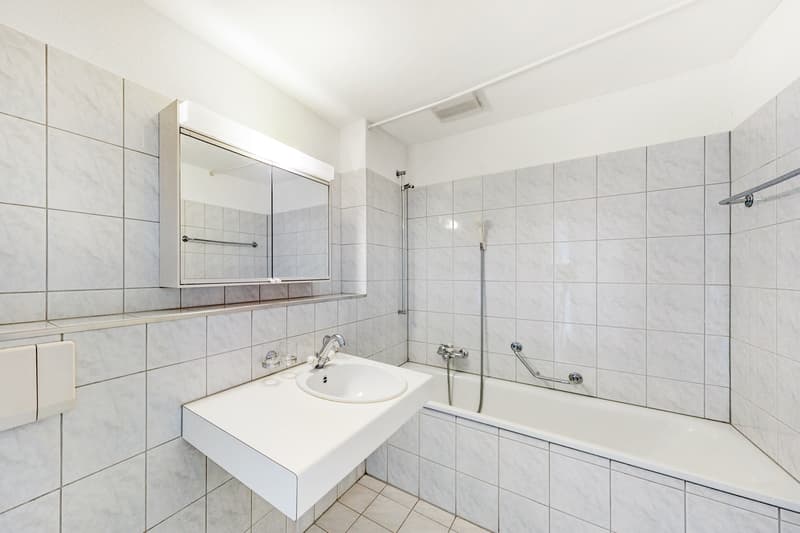 Grosszügige Singlewohnung (3)