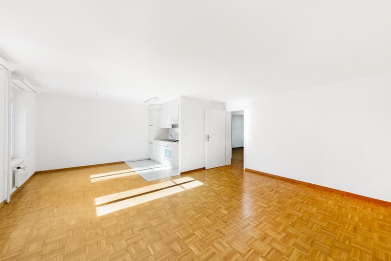 Grosszügige Singlewohnung (4)