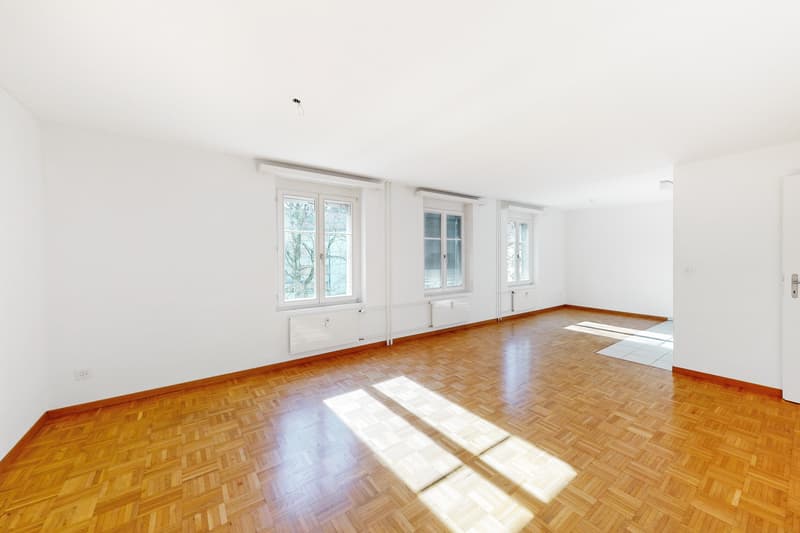 Grosszügige Singlewohnung (5)