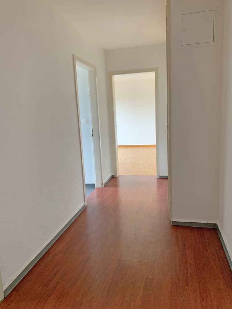 Gemütliche Wohnung im Herzen von Zürich-Oerlikon (3)