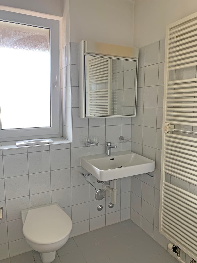 Gemütliche Wohnung im Herzen von Zürich-Oerlikon (6)
