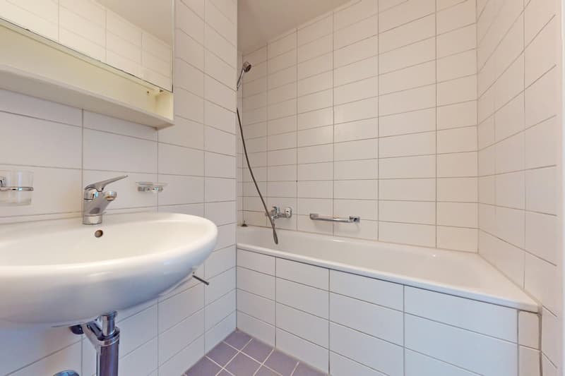 Grosszügige 4 Zimmer-Wohnung an ruhiger aber seenaher Lage (8)