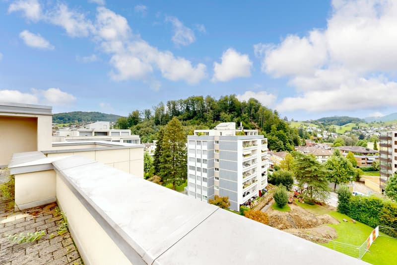 Dachwohnung mit grosser Terrasse und grossartiger Aussicht! (4)