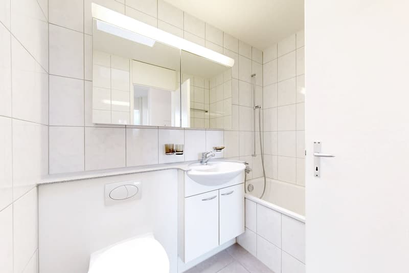 Dachwohnung mit grosser Terrasse und grossartiger Aussicht! (6)