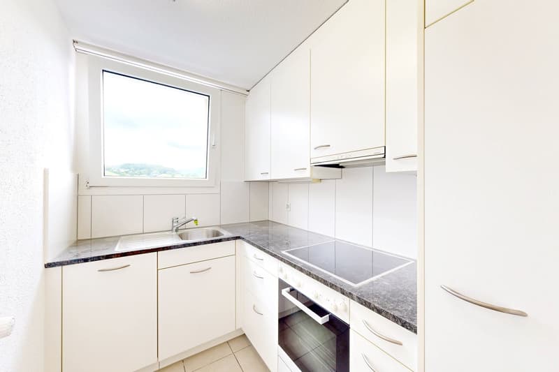 Dachwohnung mit grosser Terrasse und grossartiger Aussicht! (1)