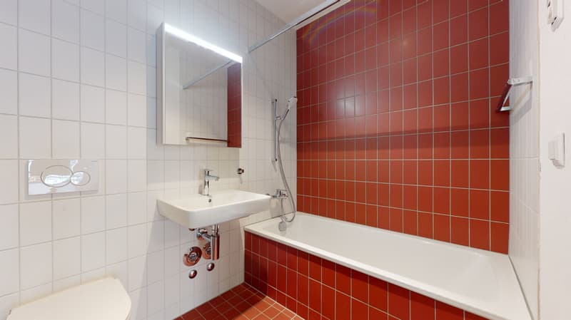 Zentrale und moderne Wohnung (7)
