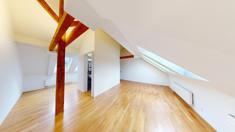 Hochwertige Altbauwohnung - Ihre neue Wohlfühloase im Enge-Quartier! (7)