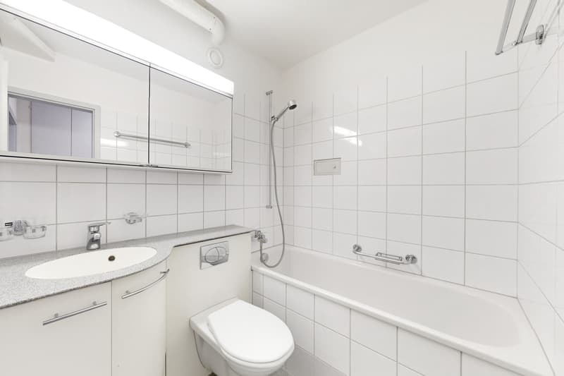 Im schönen Höngg (8)
