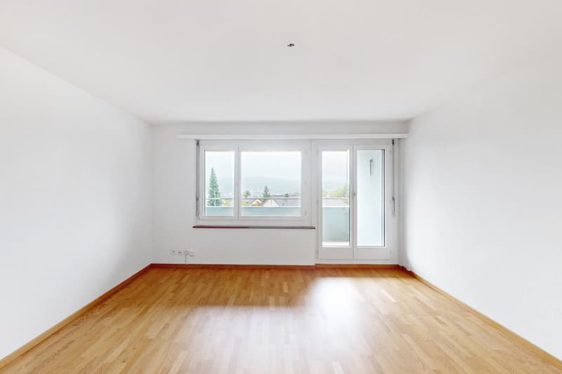 Im schönen Höngg (2)