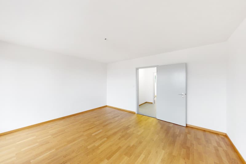 Im schönen Höngg (5)