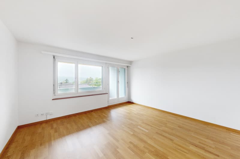 Im schönen Höngg (3)