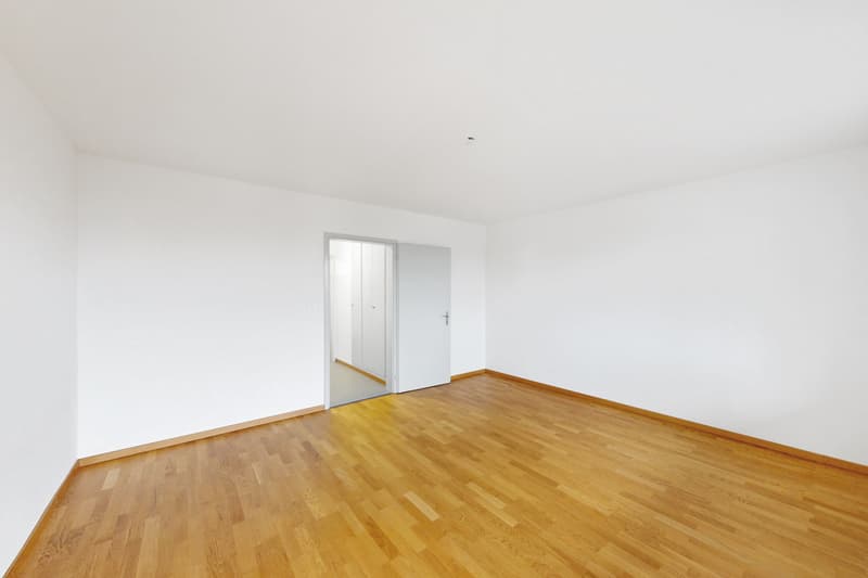 Im schönen Höngg (4)