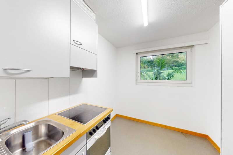 Im schönen Höngg (7)
